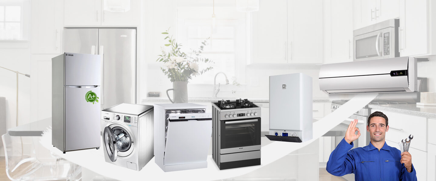 Aybastı Vaillant Servisi